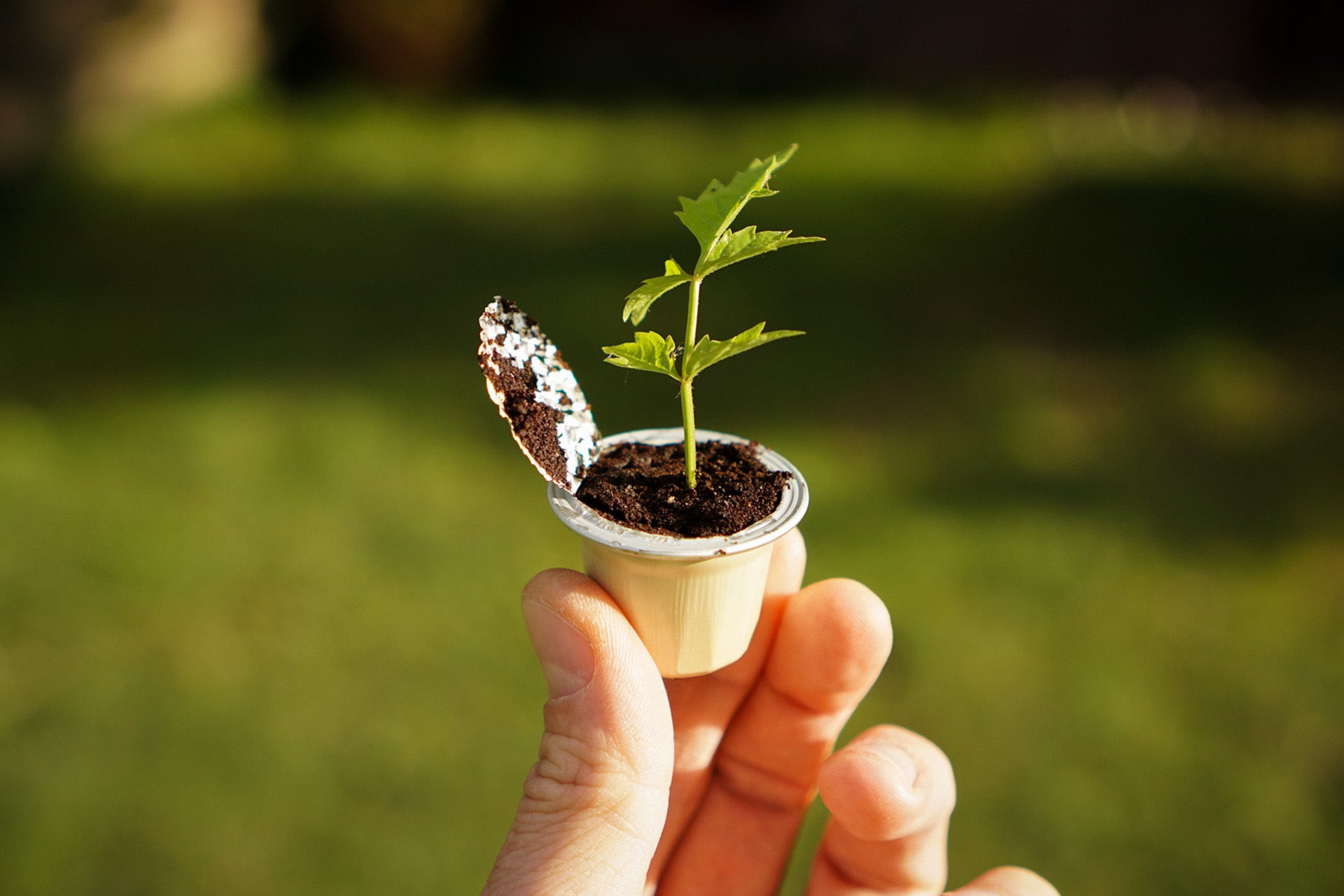 Környezetbarát a kávékapszula?