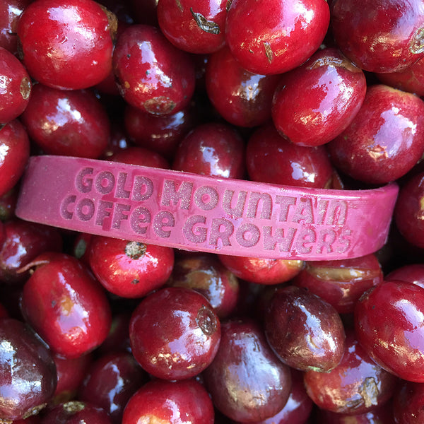 Treat Selection: Día Especial